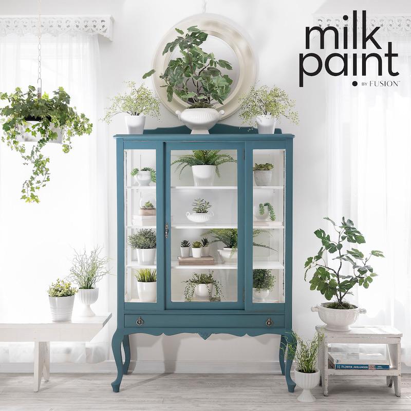 Terrarium_Fusion_Milk_Paint_Powder_China_Cabinet__WR_200904_1339-Edit(1).jpeg