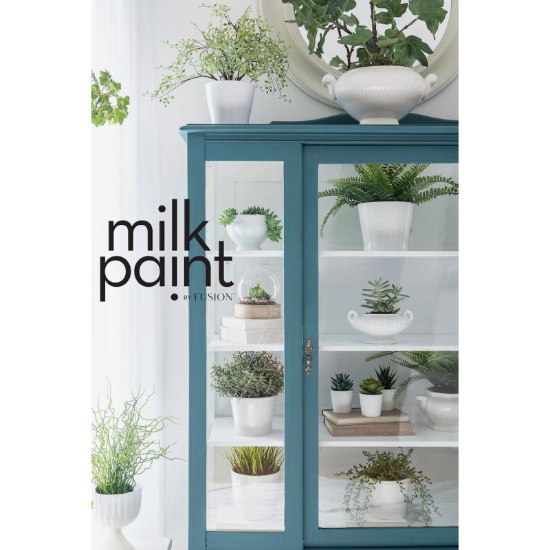 Terrarium_Fusion_Milk_Paint_Powder_China_Cabinet__WR_200904_1359(1).jpeg