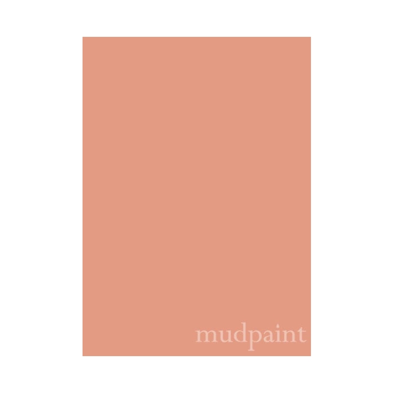 Vintage-Coral-mudpaint-värvikaart.jpg