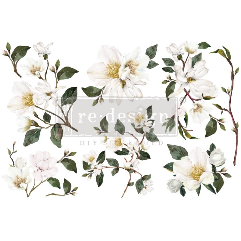 transfer-white-magnolia.jpg