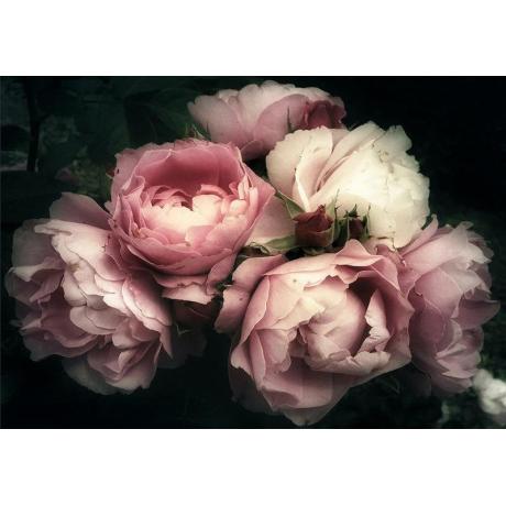 MINT dekupaaźipaber Moody florals I A3