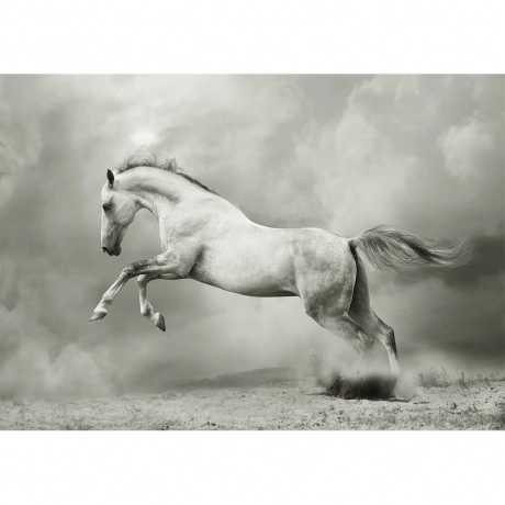 MINT dekupaaźipaber White Horse suurus A1