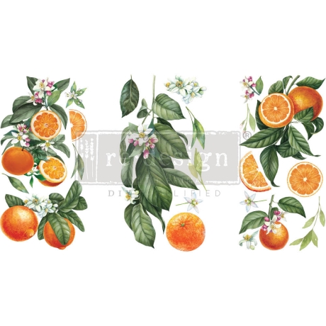 Redesign with Prima siirdepilt Citrus Slice