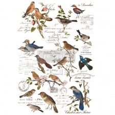 Redesign with Prima siirdepilt Postal Birds