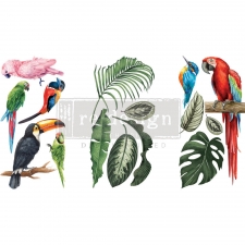Redesign with Prima siirdepilt Tropical birds