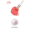 Fusion_Flat_Lay_Casa_Rosa_logo2.jpeg