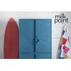 Poolside_Fusion_Milk_Paint_Powder_Metal_Lockers__HR_201015_3289-Edit.jpeg