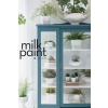 Terrarium_Fusion_Milk_Paint_Powder_China_Cabinet__WR_200904_1359(1).jpeg