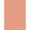 Vintage-Coral-mudpaint-värvikaart.jpg